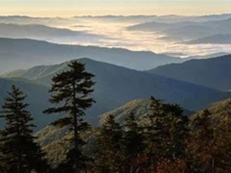 1 Mi To Dollywood Mins To All Attractions & Gsmnp Sevierville Exteriör bild