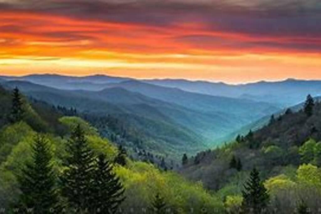 1 Mi To Dollywood Mins To All Attractions & Gsmnp Sevierville Exteriör bild