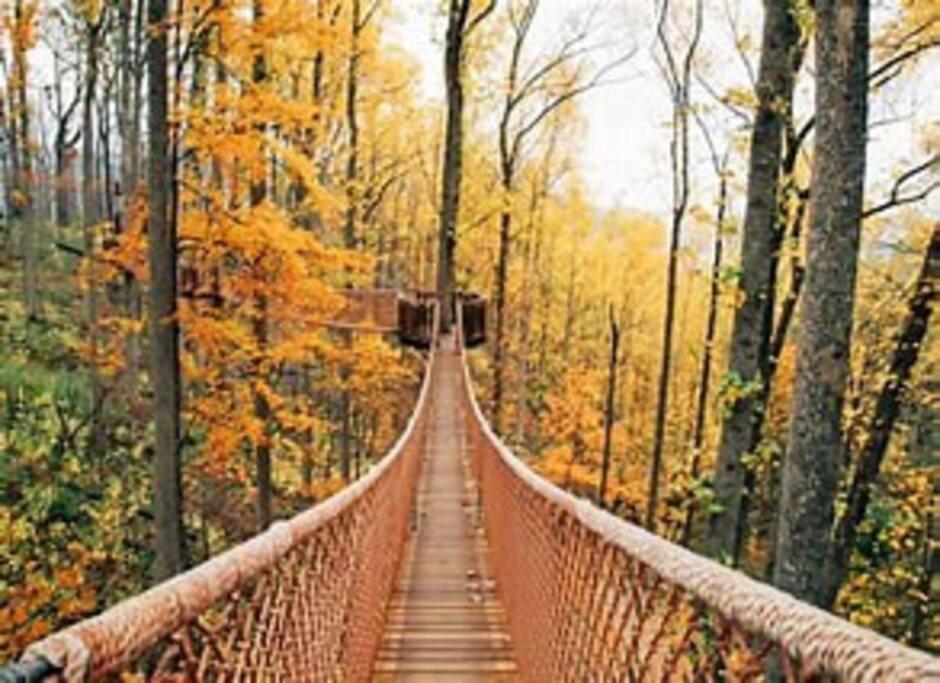 1 Mi To Dollywood Mins To All Attractions & Gsmnp Sevierville Exteriör bild
