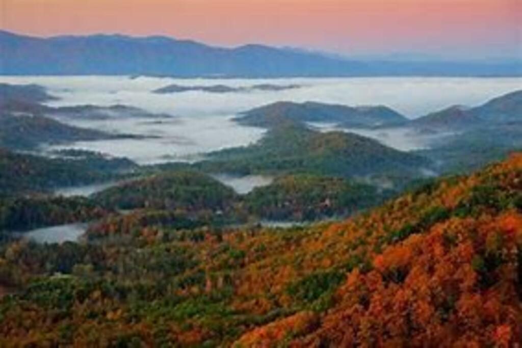 1 Mi To Dollywood Mins To All Attractions & Gsmnp Sevierville Exteriör bild